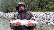 Marble trout, August, Slovenia fly fishing (2)